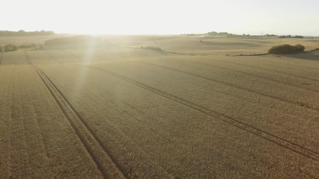 Free Video Stock Summer At The Farm Live Wallpaper - Free Download