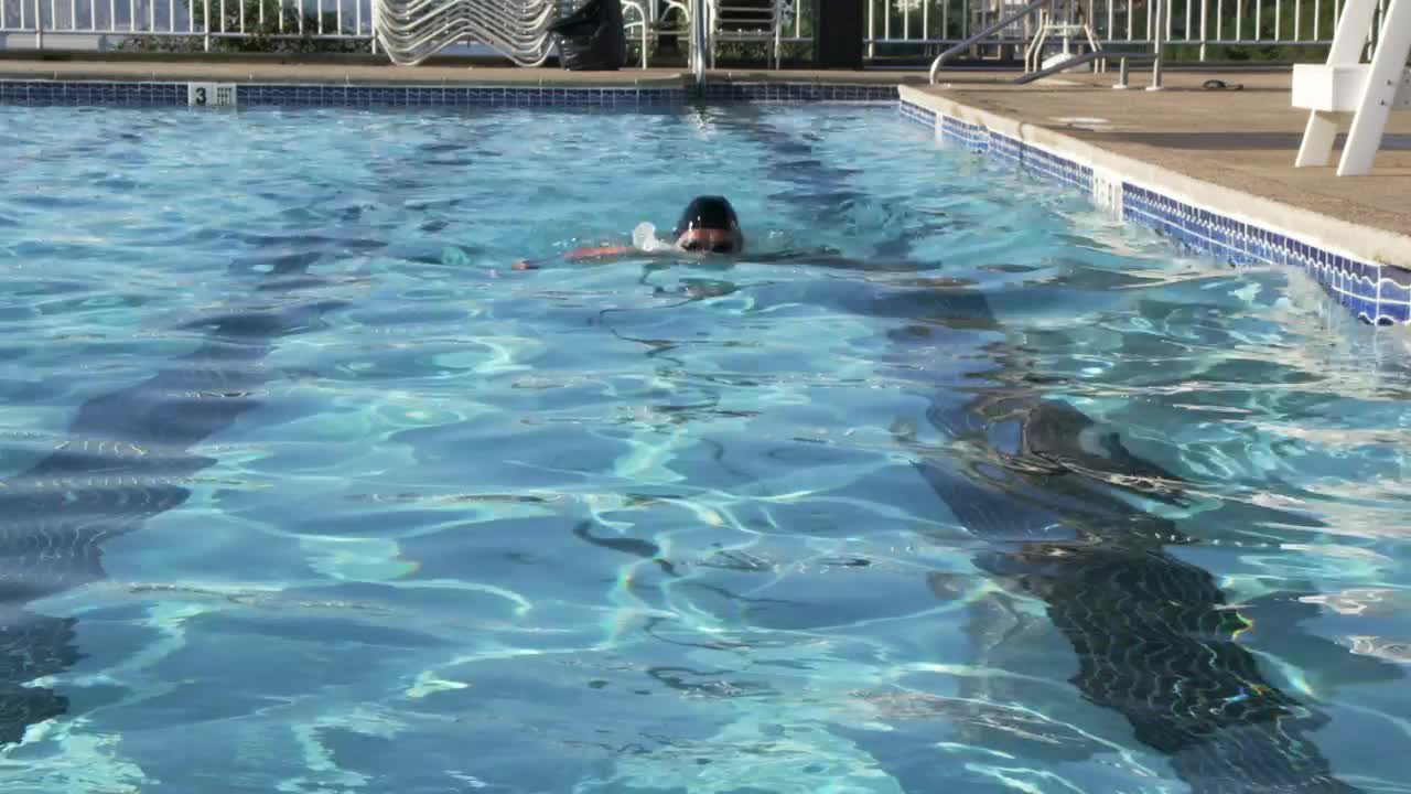 Free Video Stock swimming the length of a pool Live Wallpaper - Free Download