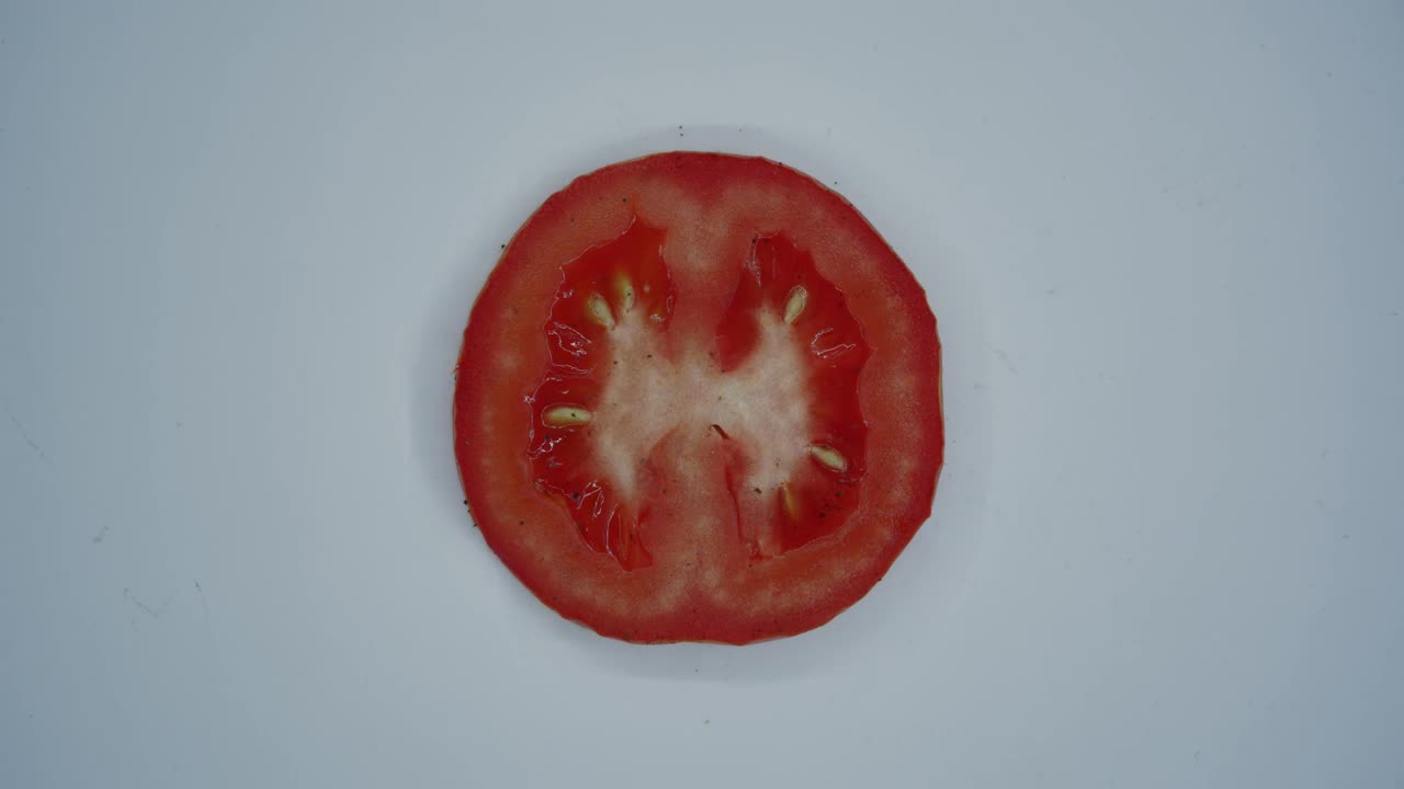 Free Video Stock tomato decomposing time lapse Live Wallpaper - Free Download