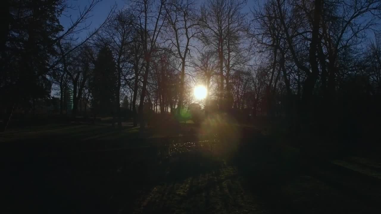 Free Video Stock Sun Shining Over A Park In Madrid Live Wallpaper - Free Download