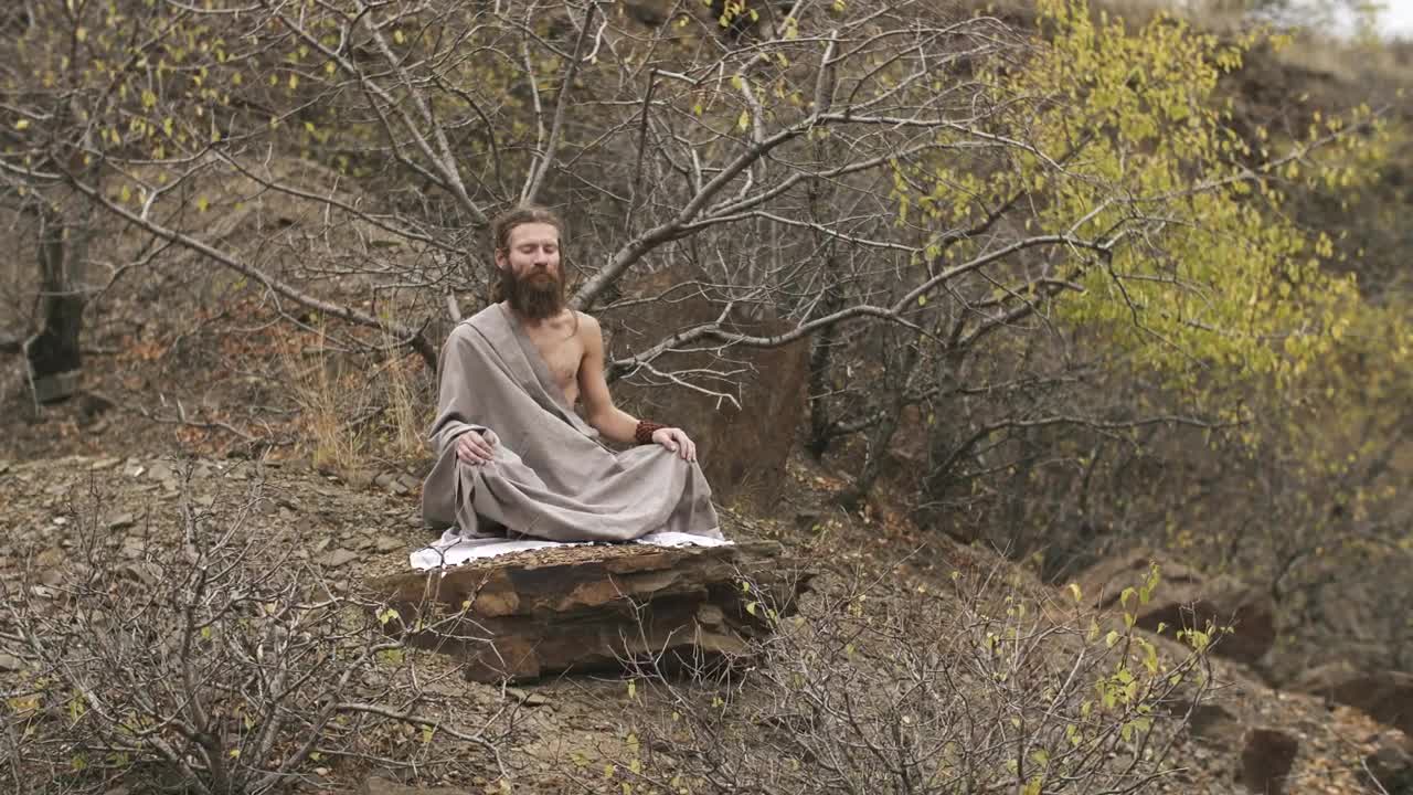 Stock Video Man Meditating Deeply In An Autumnal Fores Animated Wallpaper - Free Download