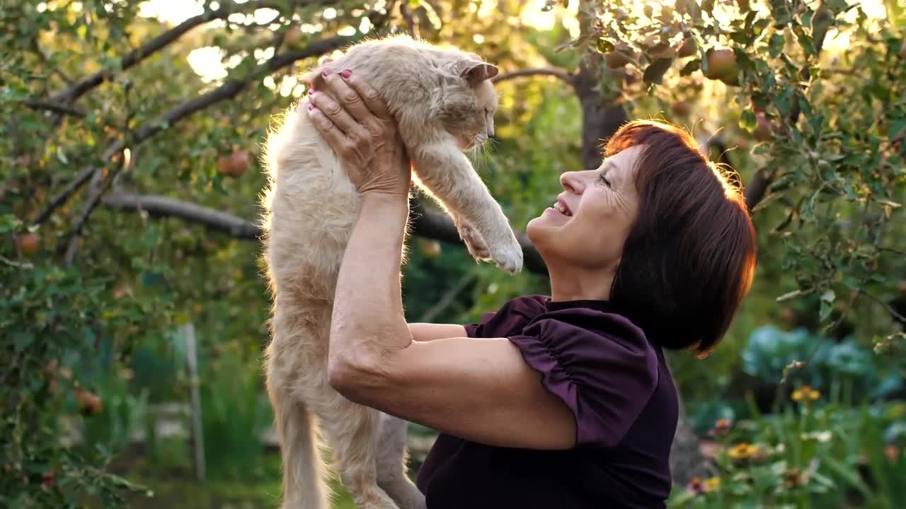 Stock Video Old Woman Loving Her Cat Live Wallpaper - Free Download