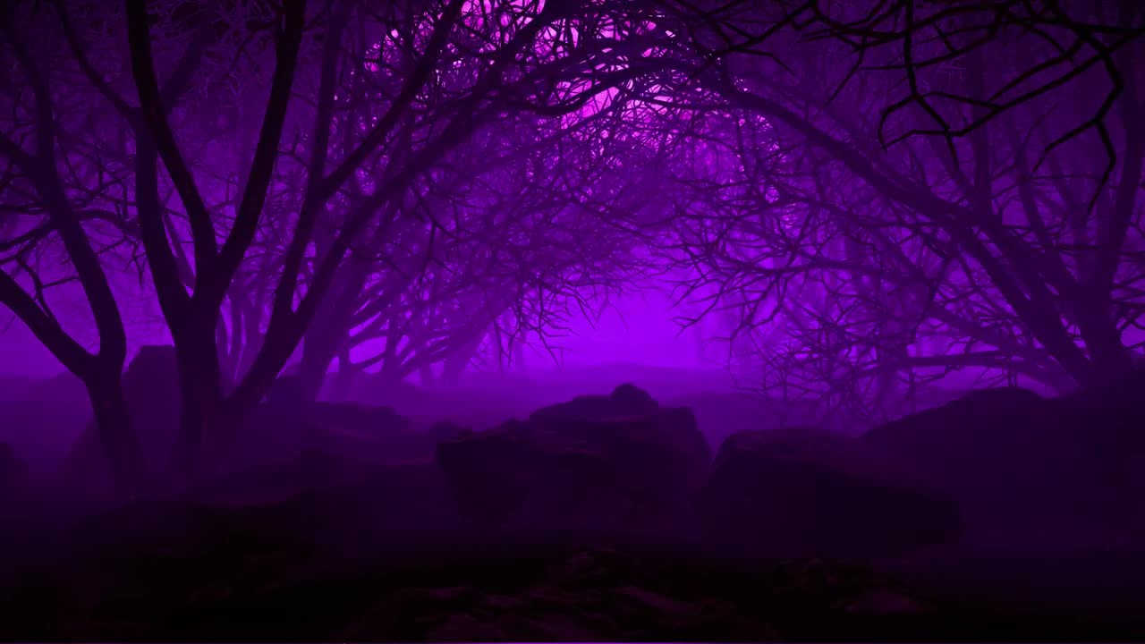 Free Video Stock through a poisonous forest with purple haze Live Wallpaper - Free Download