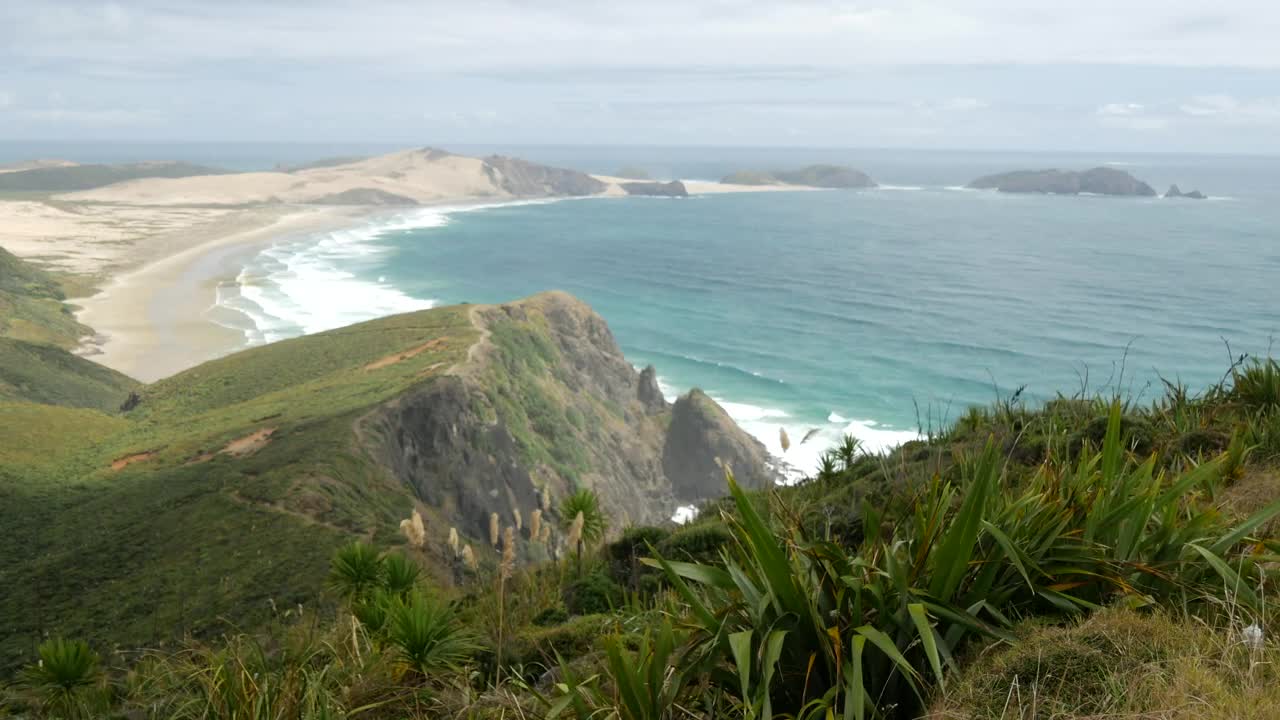 Stock Video Long Seashore And The Ocean In New Zealand Animated Wallpaper - Free Download