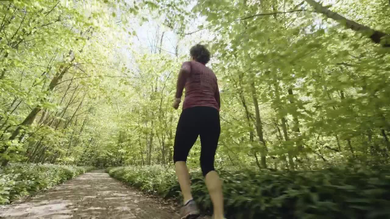 Free Video Stock Slowly Running Through A Forest Path Live Wallpaper - Free Download