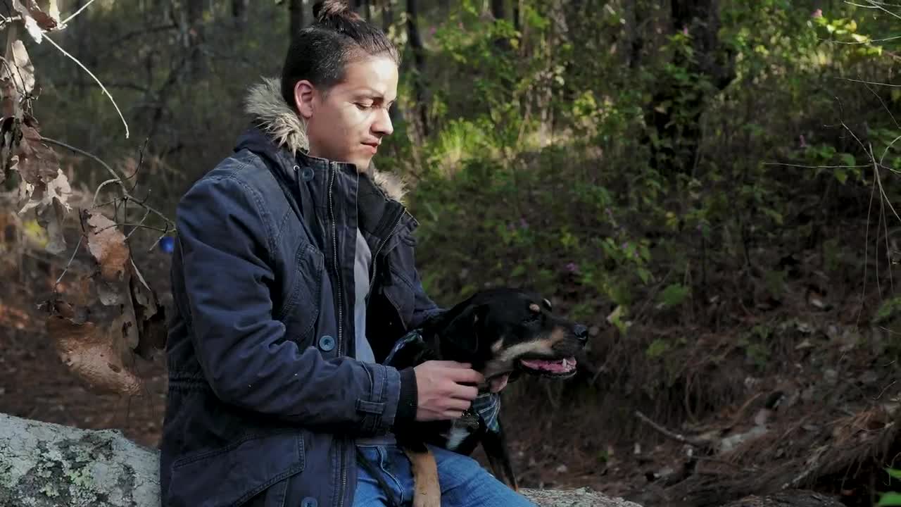 Stock Video Man Pets His Dog In The Fores Animated Wallpaper - Free Download