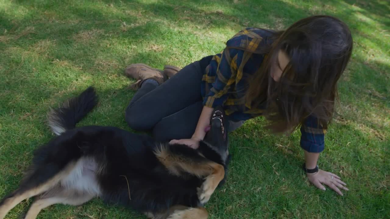 Free Stock Video Woman Petting Her Dog On The Grass Live Wallpaper - Free Download