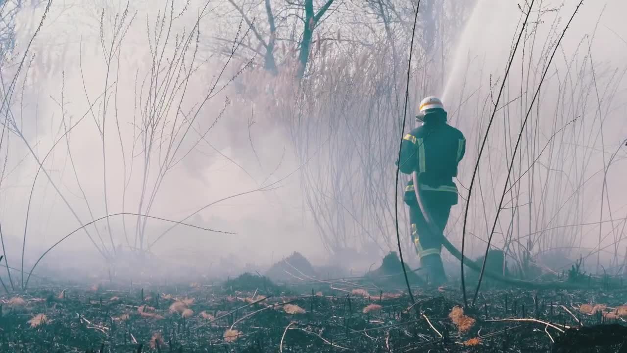 Stock Video Firefighters Extinguishing A Fire In The Forest Live Wallpaper For PC - Free Download