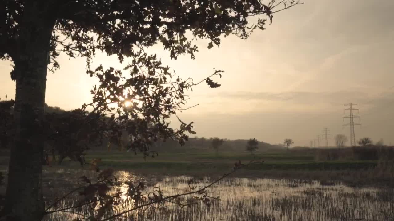 Free Video Stock sunset over marshlands Live Wallpaper - Free Download