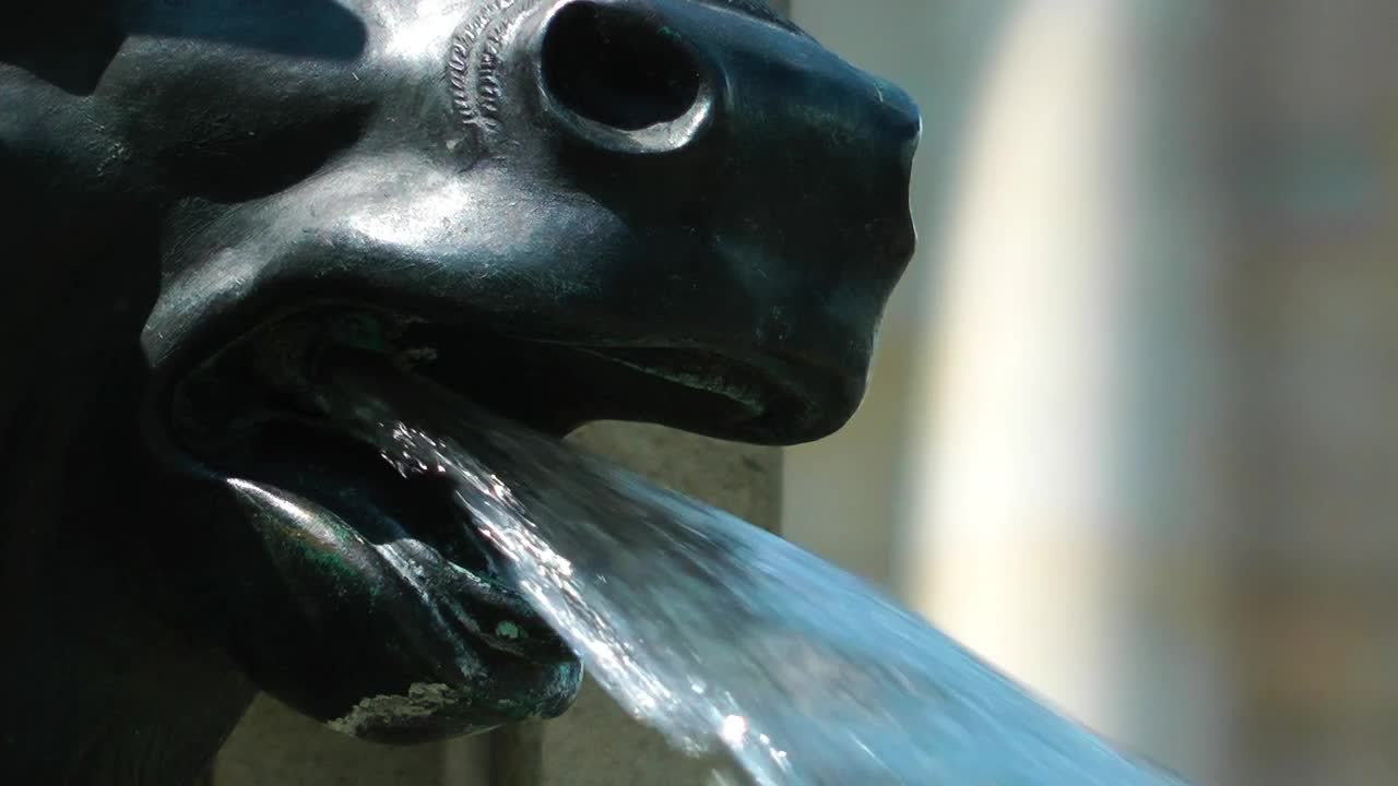 Stock Video Fountain In The Shape Of An Animal Sculpture Close Up Live Wallpaper For PC - Free Download
