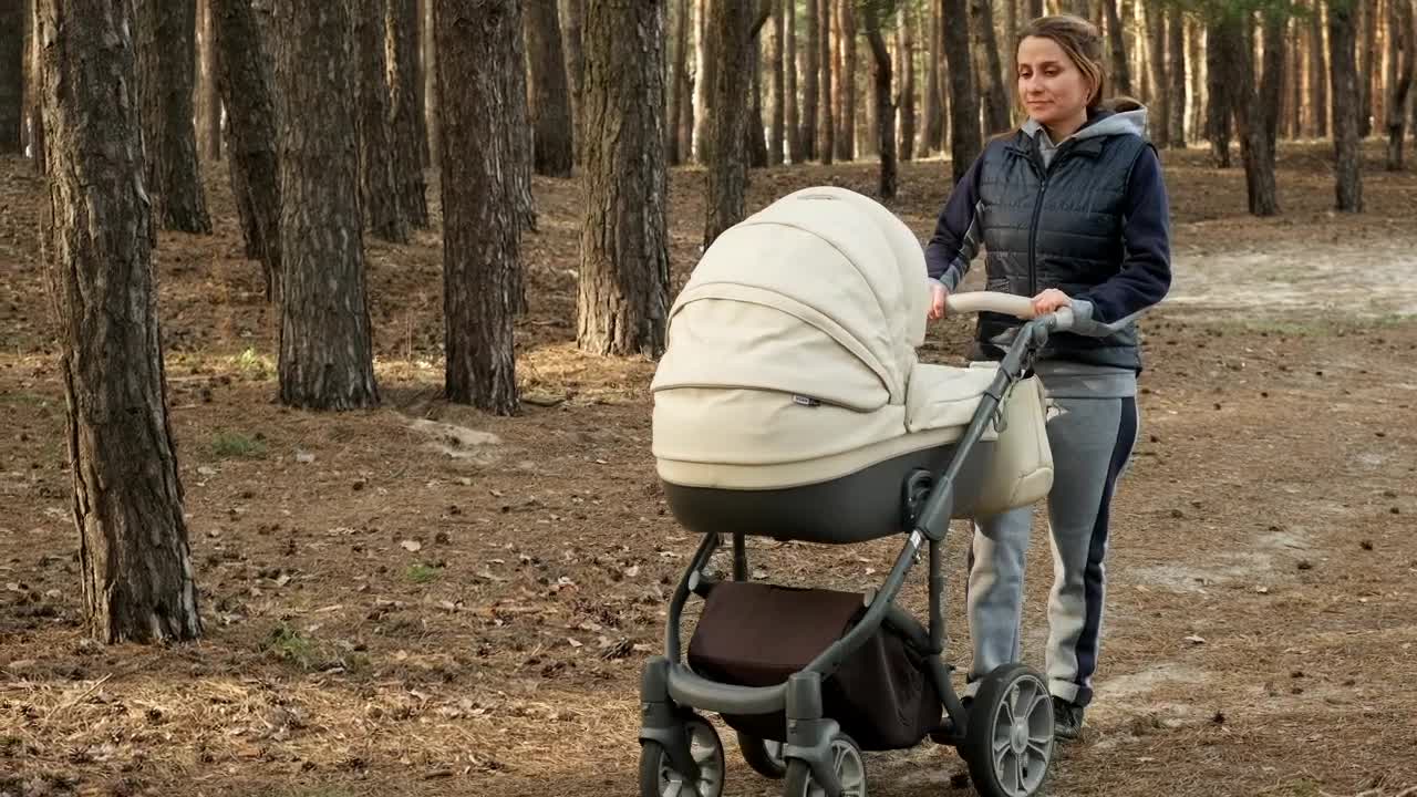 Stock Video Mom Strolling Her Baby In A Stroller In The Fores Animated Wallpaper - Free Download