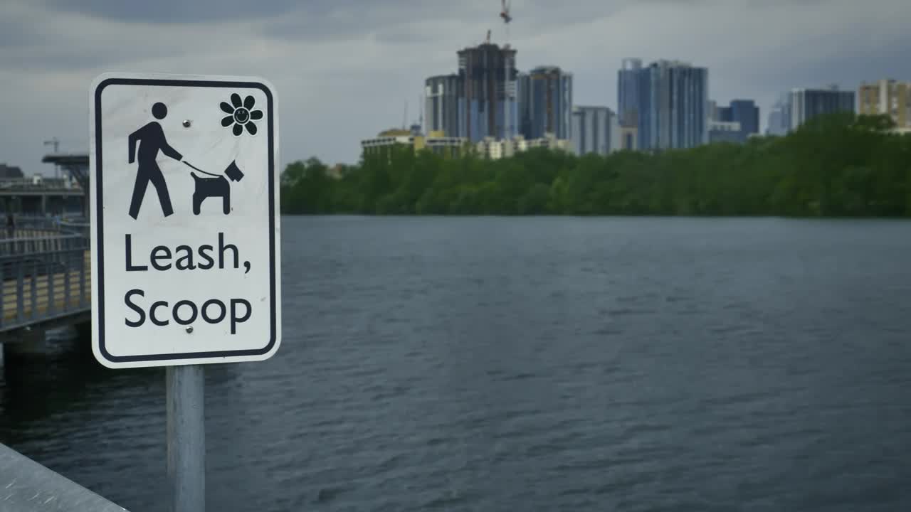 Stock Video Lake On The Outskirts Of A Big City Animated Wallpaper - Free Download