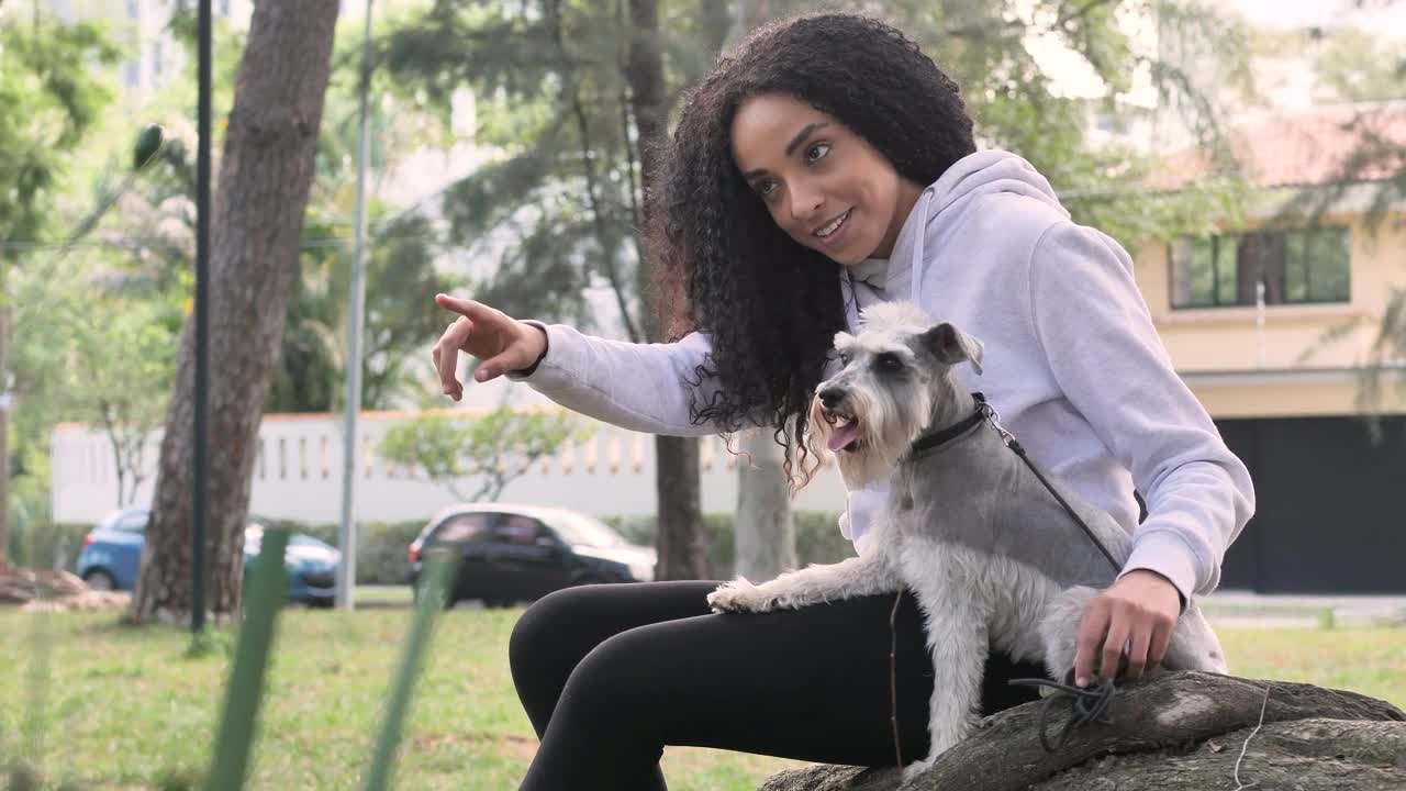 Video Stock Pet Owner Spending Time With His Little Dog In A Live Wallpaper Free - Free Download