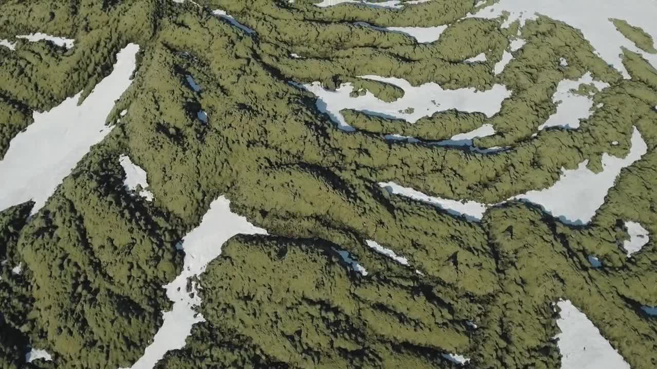 Stock Video Moss Growing On Rock Animated Wallpaper - Free Download