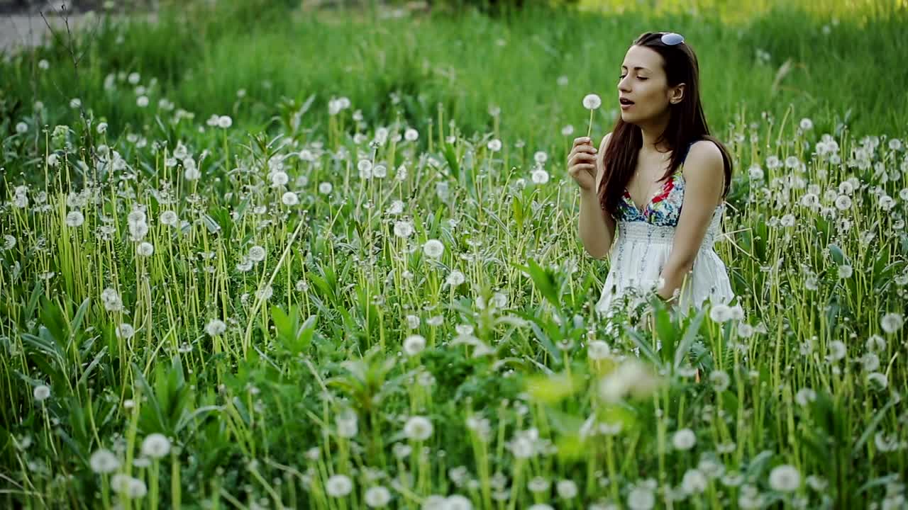 Stock Video Girl Blowing A Dandelion In A Crowded Meadow Live Wallpaper For PC - Free Download
