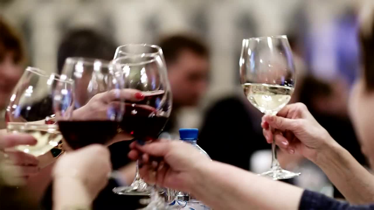 Free Video Stock toasting with wine glasses during a night out Live Wallpaper - Free Download