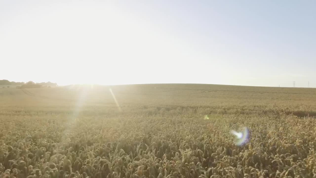Stock Video Drone Flying Over The Countryside Live Wallpaper For PC - Free Download