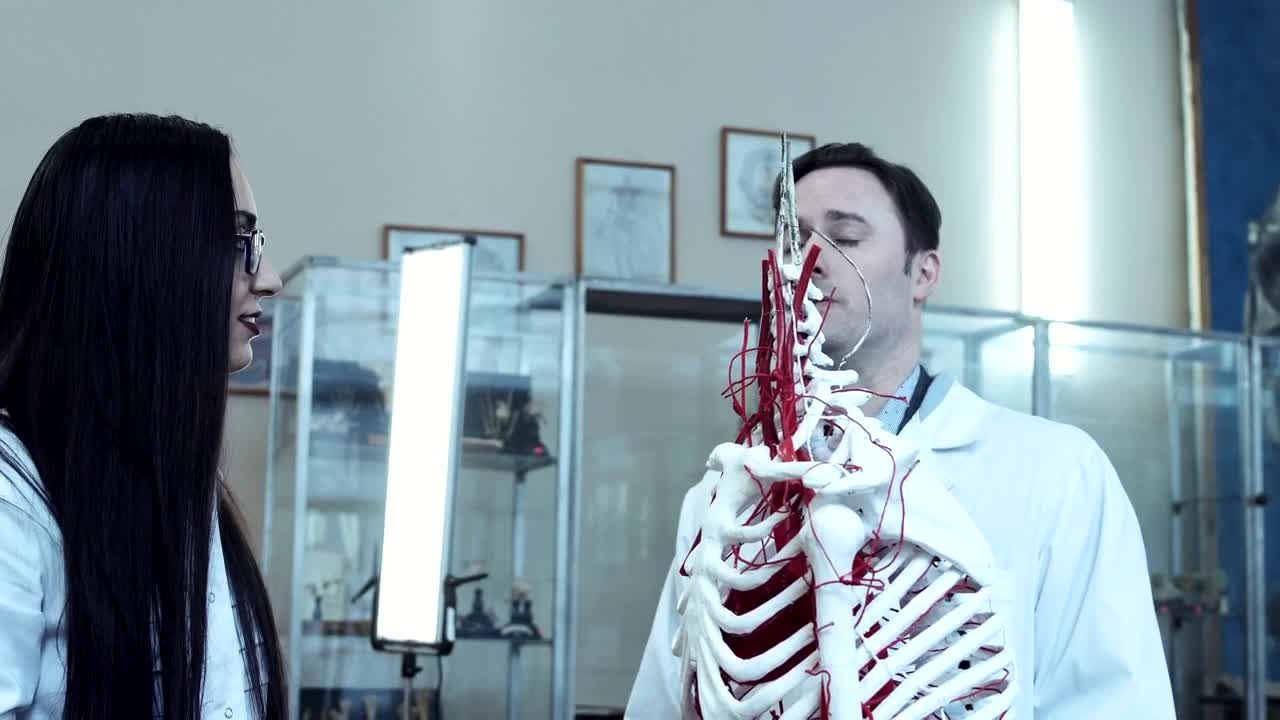 Stock Video Medical Students With Dummy Skeleto Animated Wallpaper - Free Download