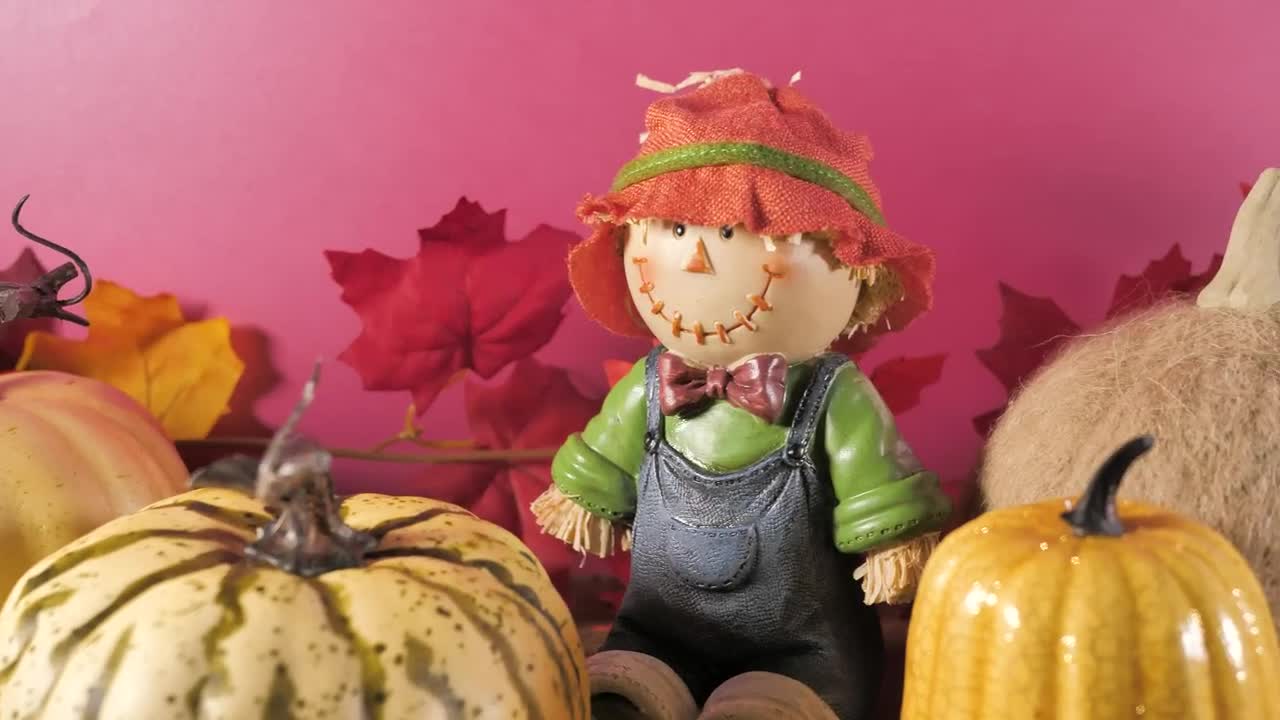 Stock Video Halloween Autumn Ornaments Live Wallpaper For PC - Free Download