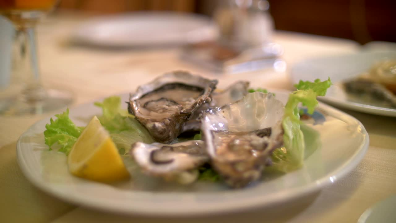 Free Video Stock taking a photo of oysters Live Wallpaper - Free Download