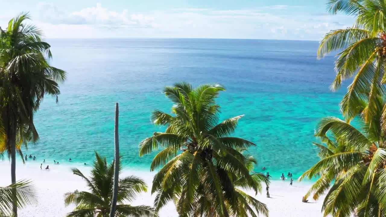 Stock Footage White Sand Paradise Beach Live Wallpaper - Free Download