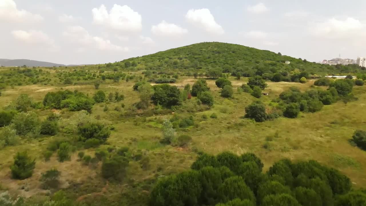 Stock Video Hill Covered With Trees And Vegetation From Above Animated Wallpaper - Free Download