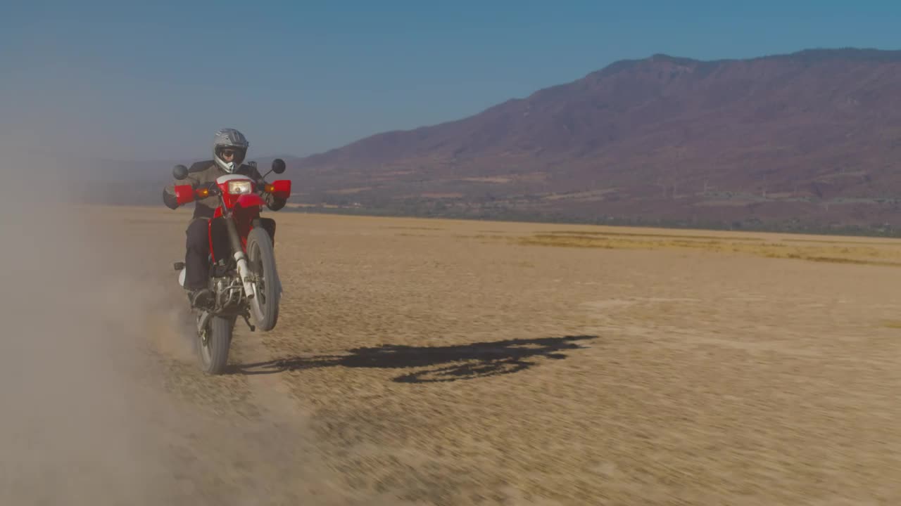 Free Video Stock tracking view of a biker doing a wheelie Live Wallpaper - Free Download