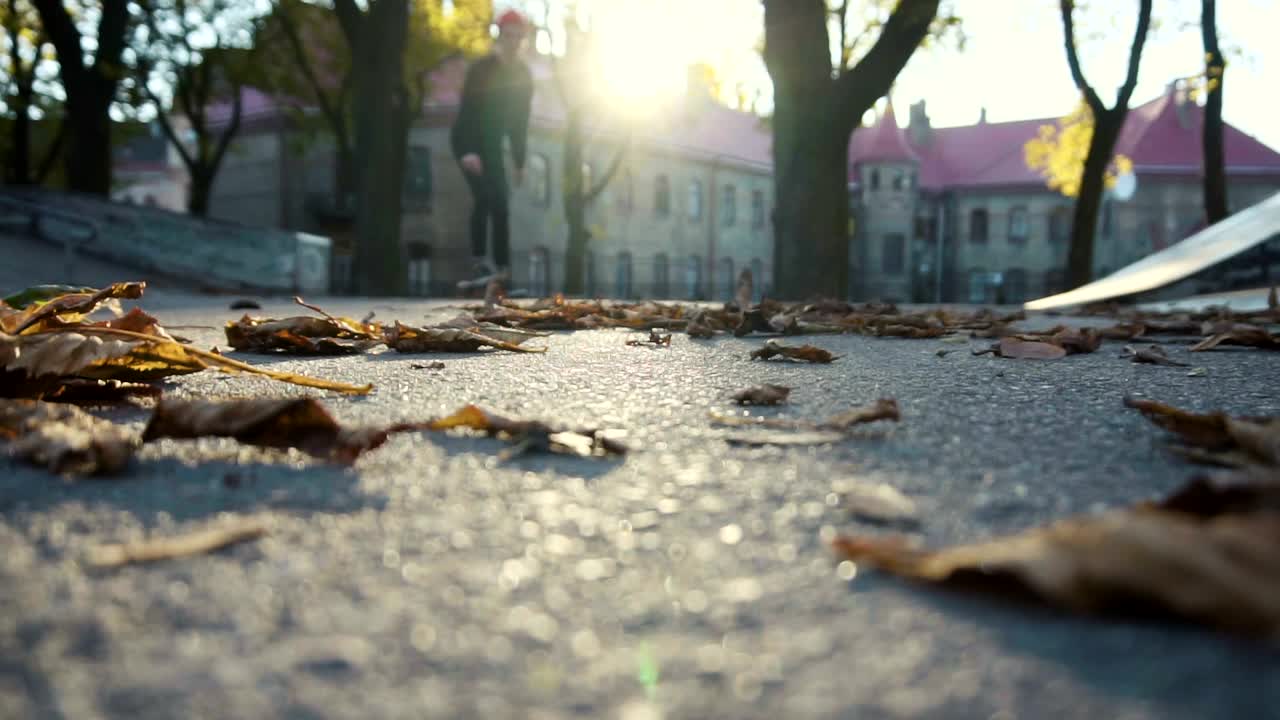 Stock Video Low Angle Of Skater Riding Through Autumn Leaves Animated Wallpaper - Free Download