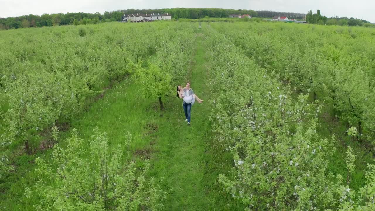 Stock Video Couple Walking Through An Orchard Live Wallpaper For PC - Free Download