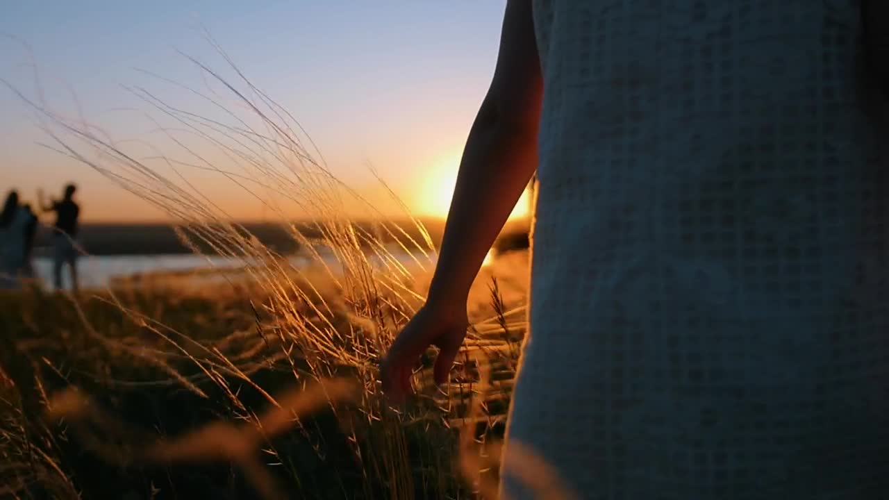 Stock Video Girl In A Dress Caressing The Grass At Sunset Live Wallpaper For PC - Free Download