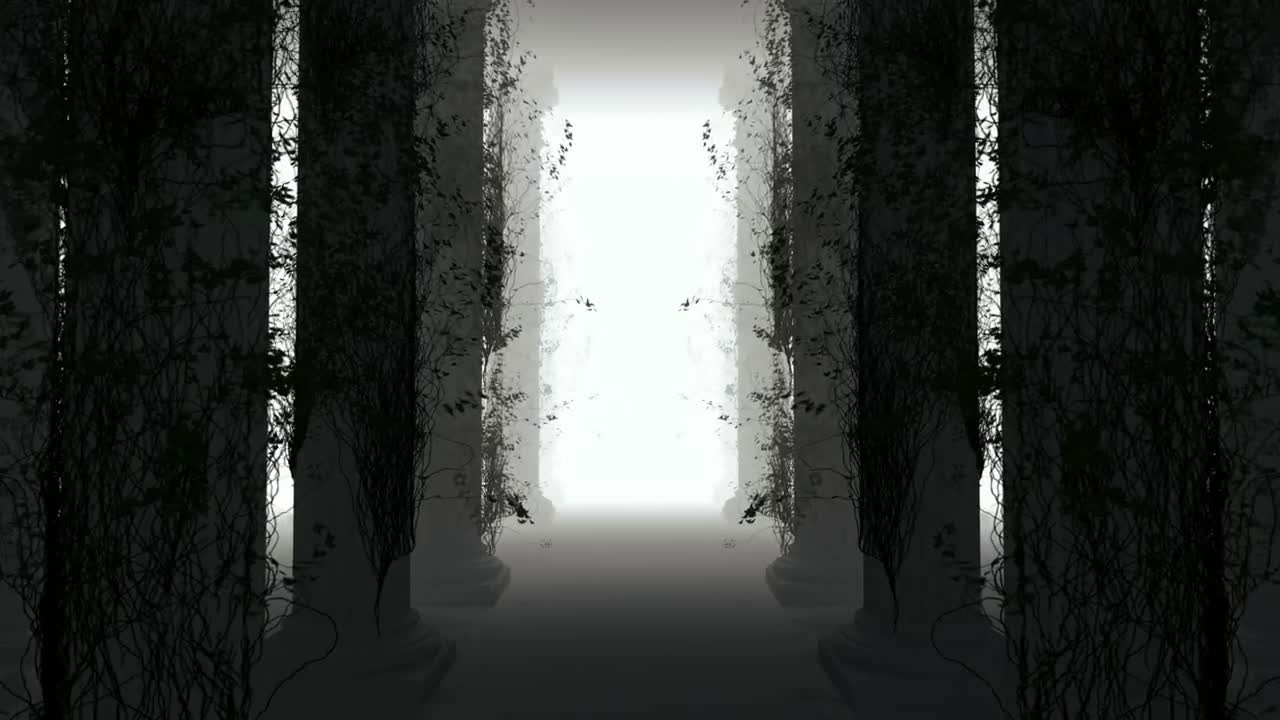 Stock Footage Walking Through A Forest With Virtual Fog D Loop Live Wallpaper - Free Download
