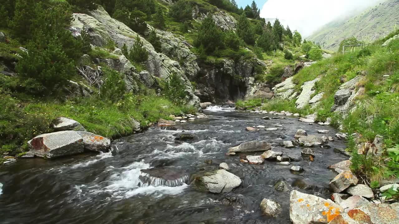 Free Video Stock Static Shot Of A Stream In A Forest Live Wallpaper - Free Download