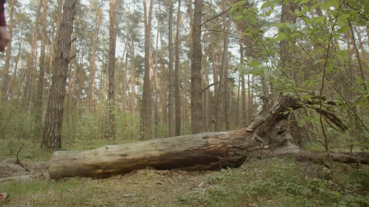 Stock Video Depressed Man Resting On A Log In The Woods Live Wallpaper For PC - Free Download
