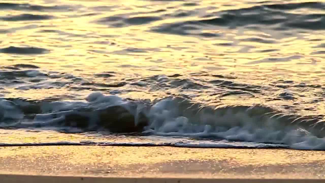 Video Stock Calm Waves Breaking On An Empty Beach Live Wallpaper For PC - Free Download
