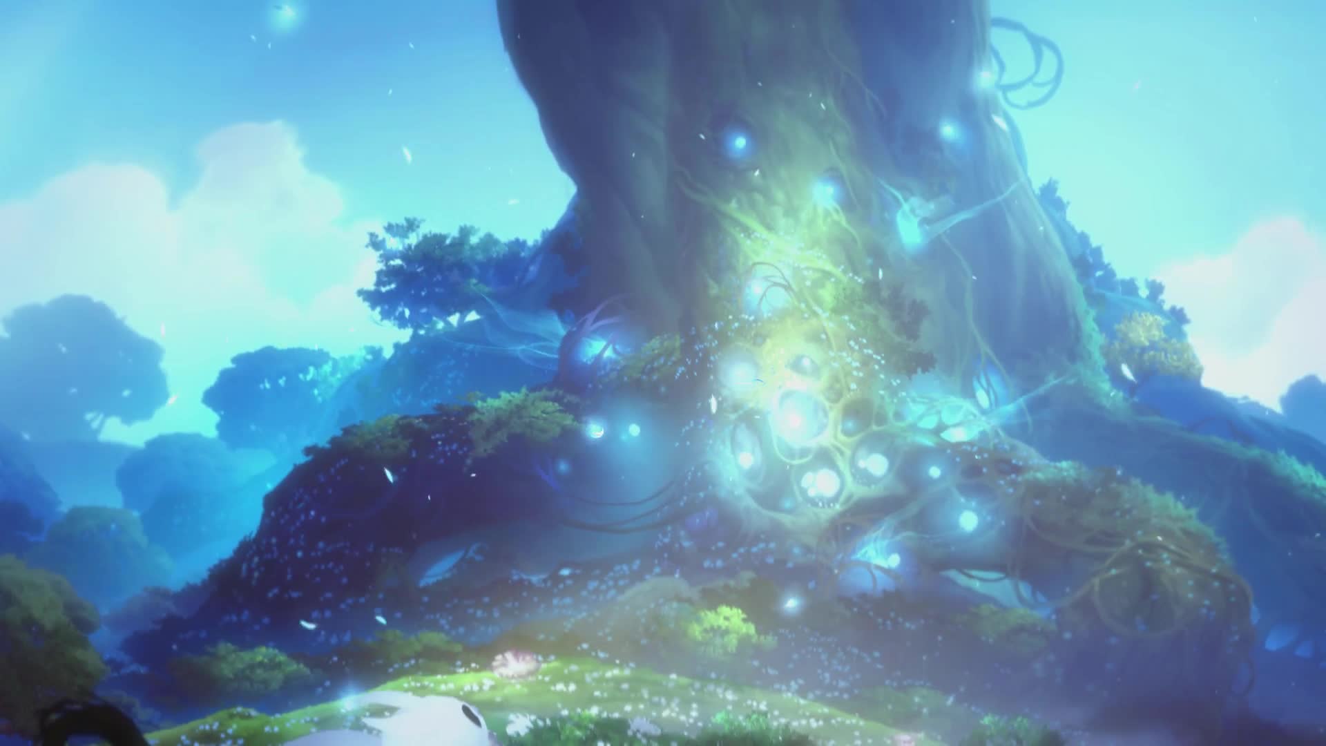 Ori  And  The  Blind  Forest  Live  Wallpaper - Free Download