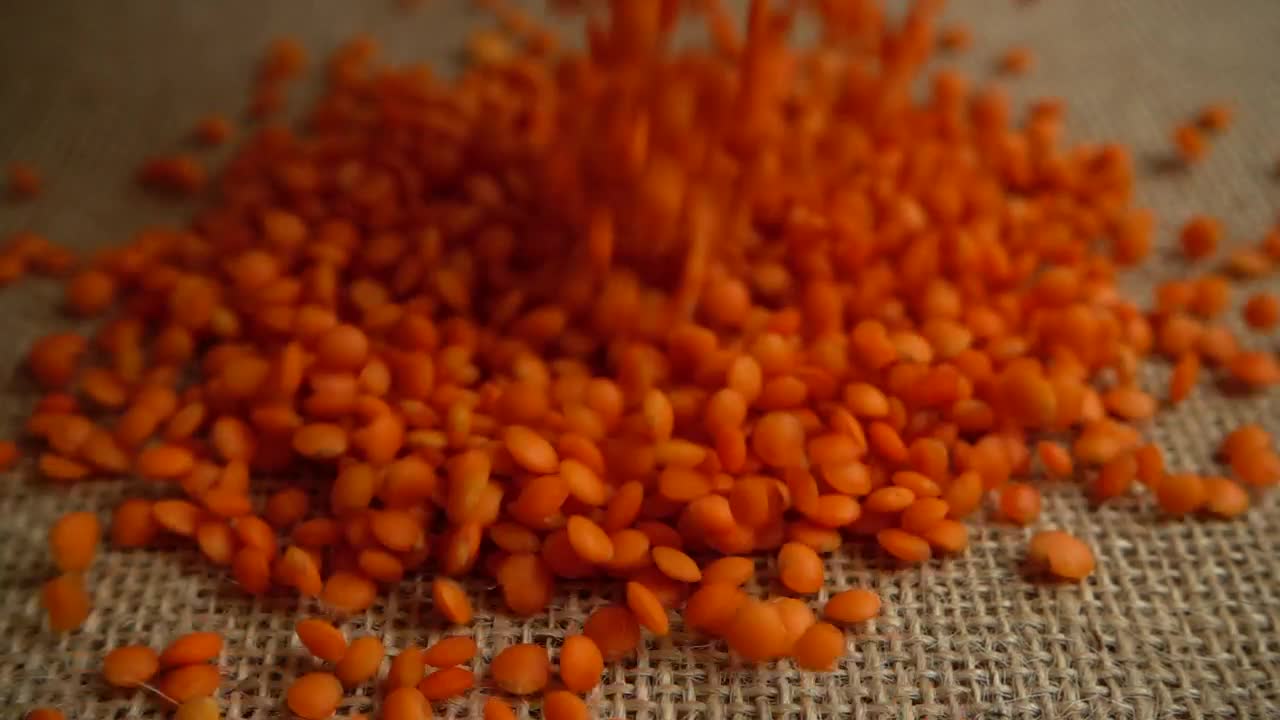 Stock Video Lentil Harvest Animated Wallpaper - Free Download