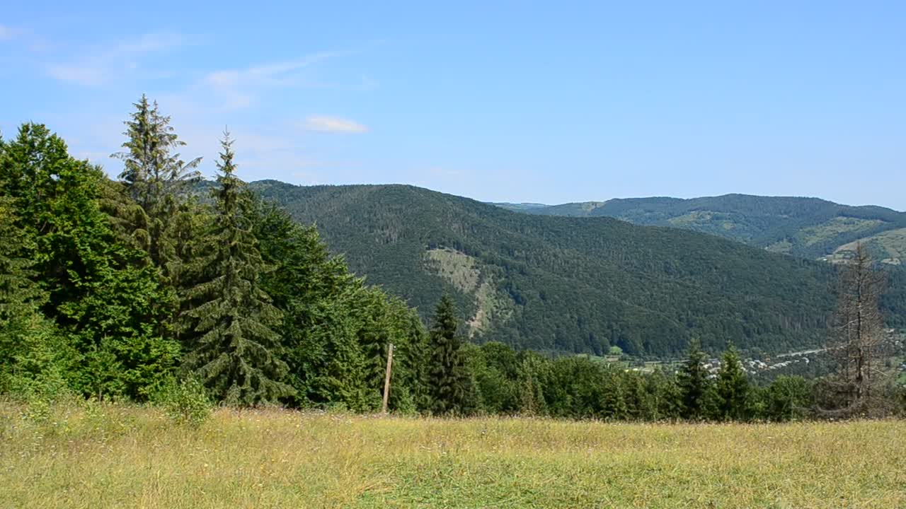 Stock Video Mountain Trees Across A Grass Field Live Wallpaper - Free Download