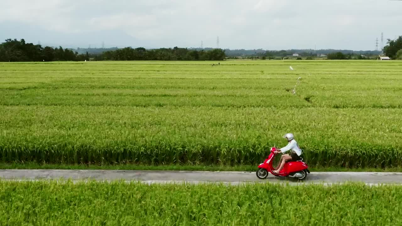 Stock Video Man Rides Red Scooter Through Green Farm Field Animated Wallpaper - Free Download