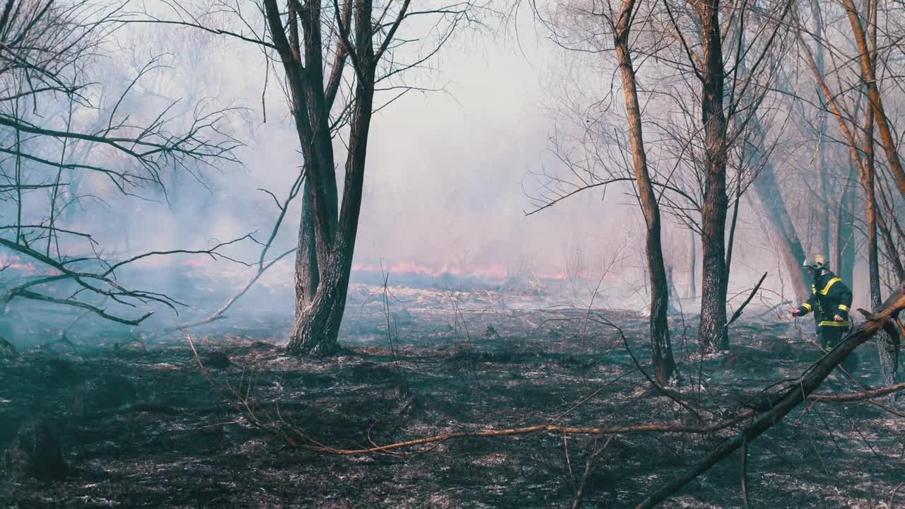 Stock Video Firefighter Running In A Fire In The Forest Live Wallpaper For PC - Free Download