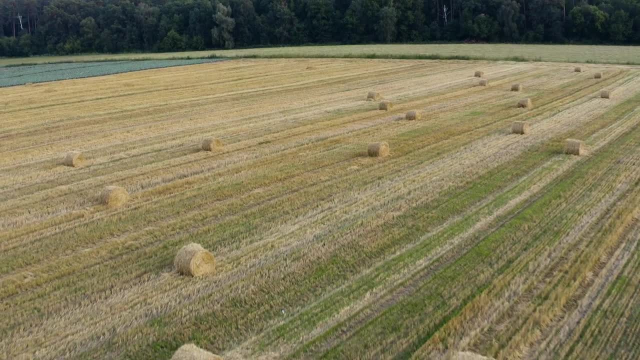 Free Video Stock Stacks Of Hay On The Field Live Wallpaper - Free Download