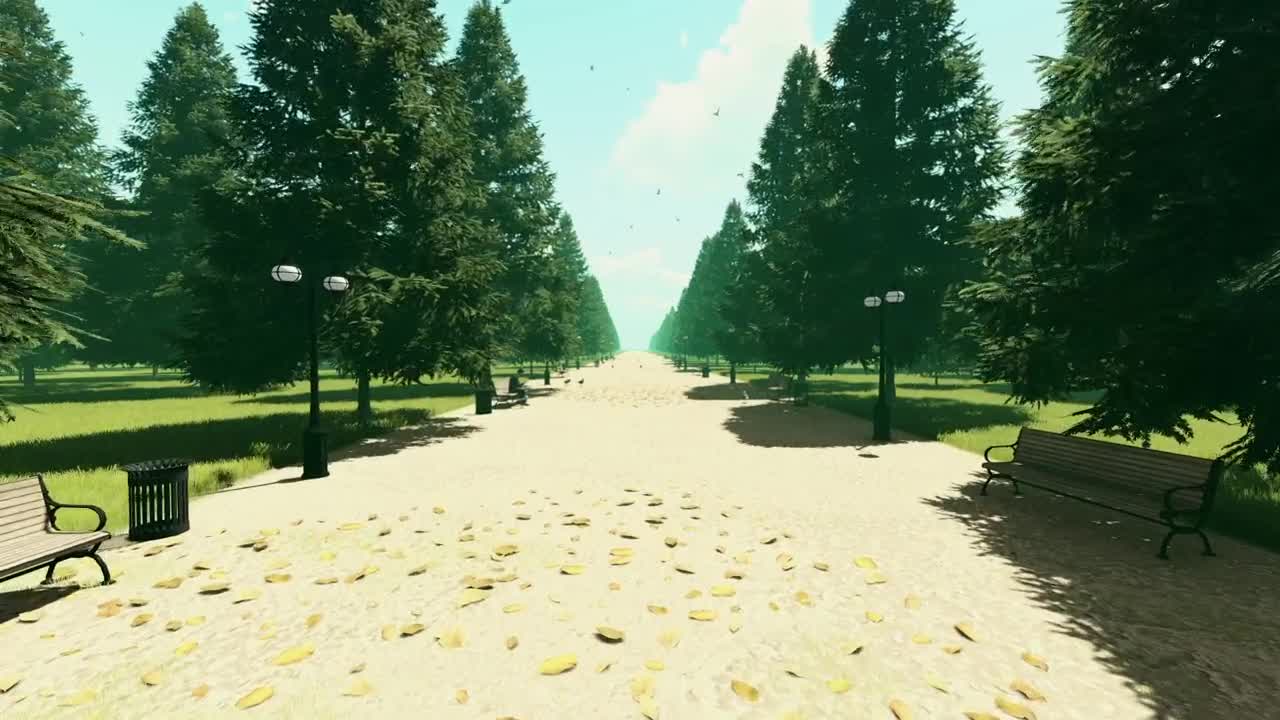 Stock Video Path In A Park With Pigeons And Trees Live Wallpaper - Free Download