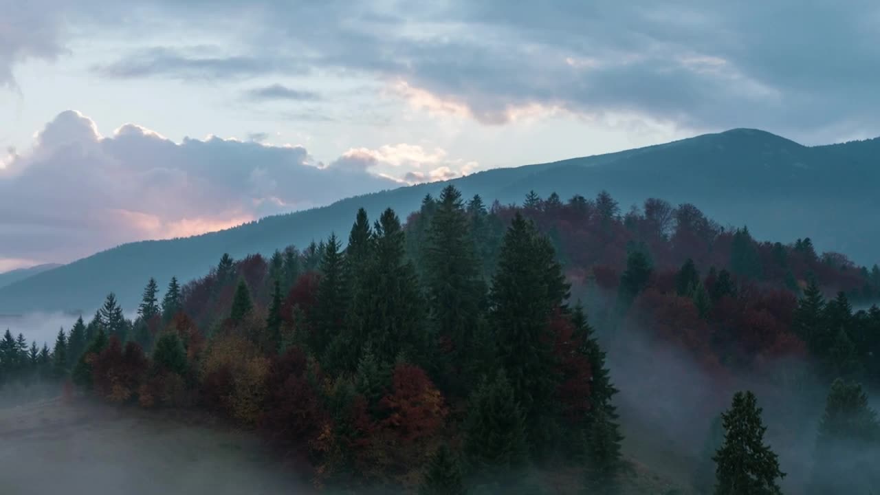 Stock Video Foggy Autumnal Sunrise In The Mountains Live Wallpaper For PC - Free Download