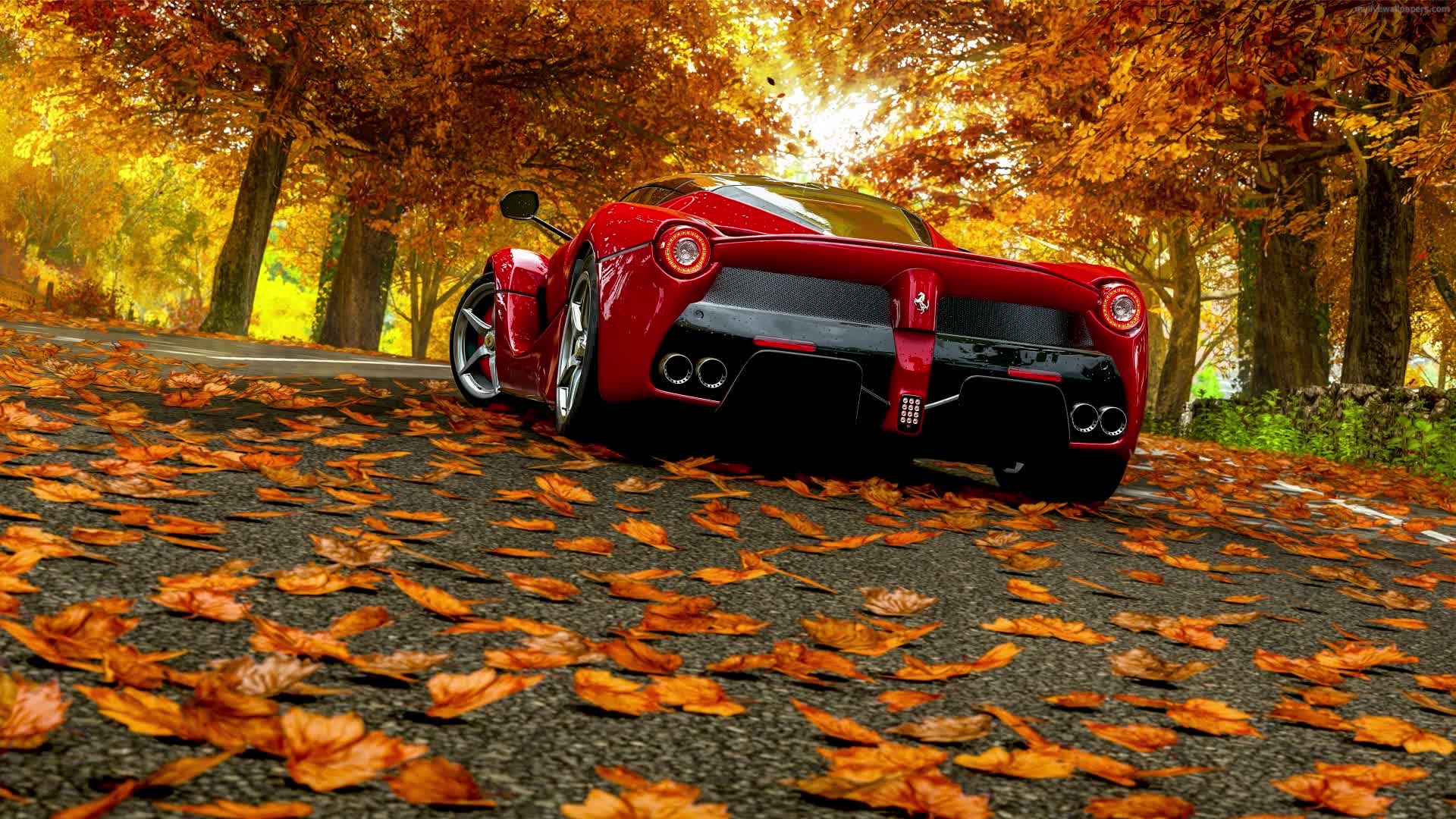 Live Wallpaper Ferrari Autumn - Free Download