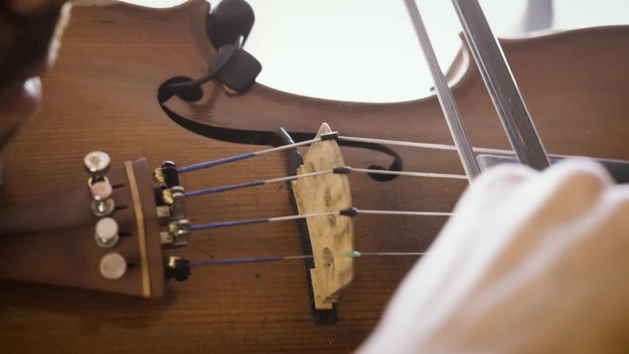 Stock Video Dust Off Violin Live Wallpaper For PC - Free Download