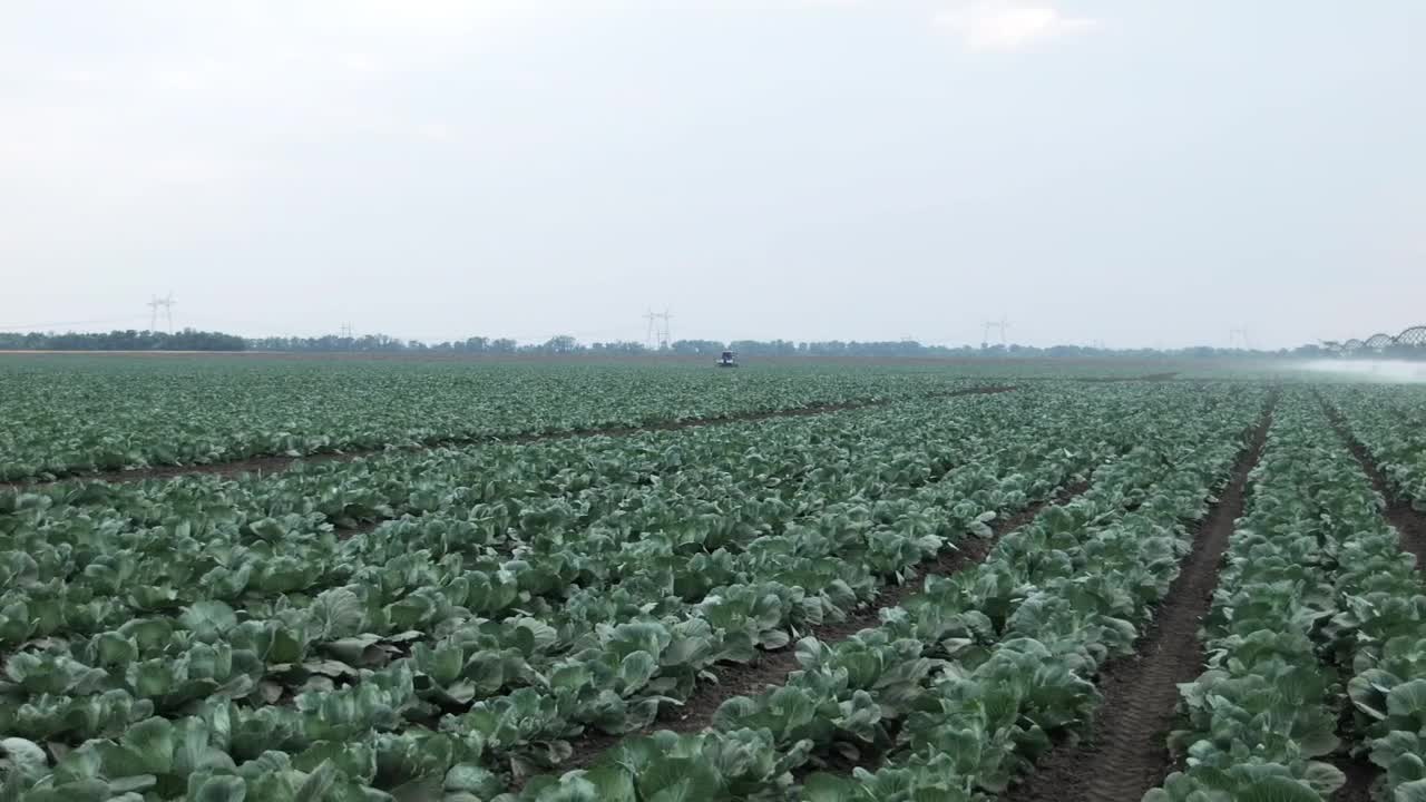 Stock Footage Watering Large Crop Fields Live Wallpaper - Free Download