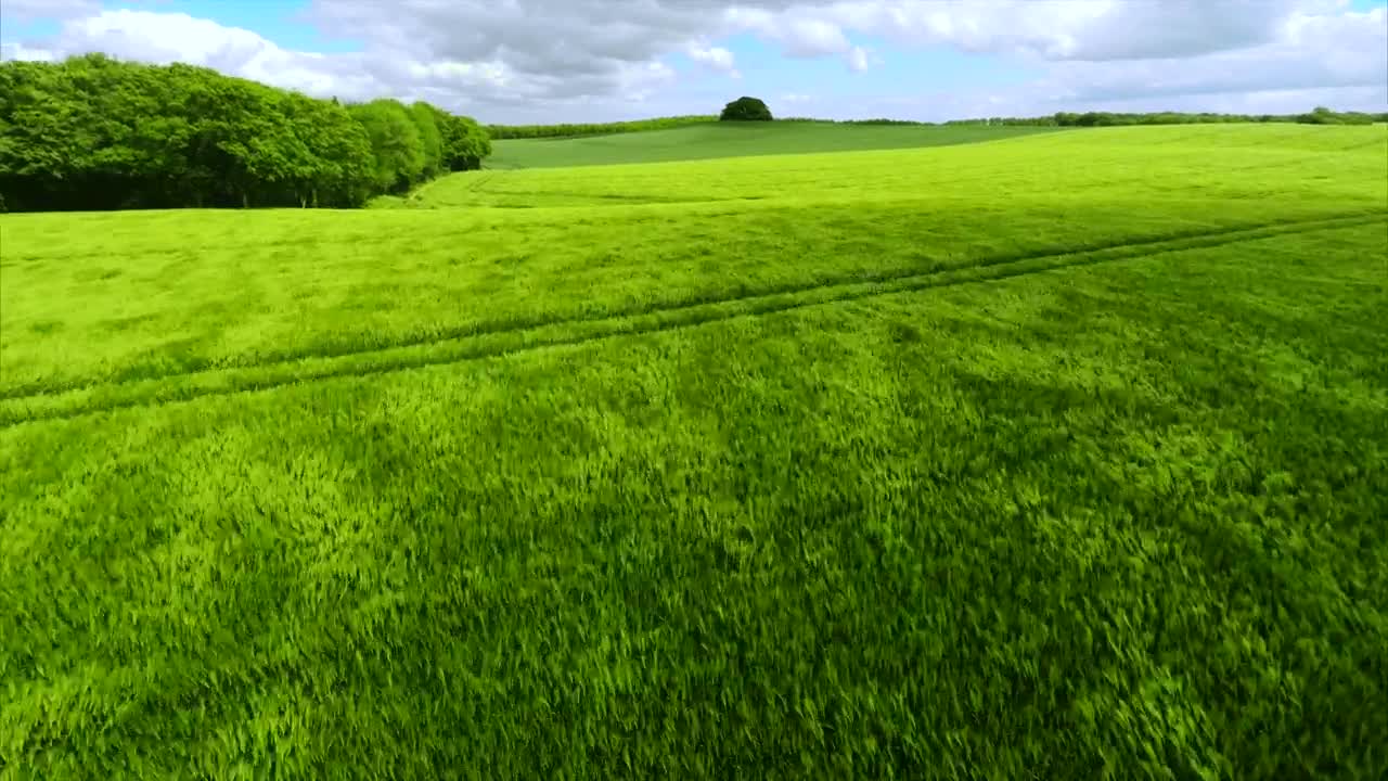 Stock Video Drone Flying Over Grasslands Live Wallpaper For PC - Free Download
