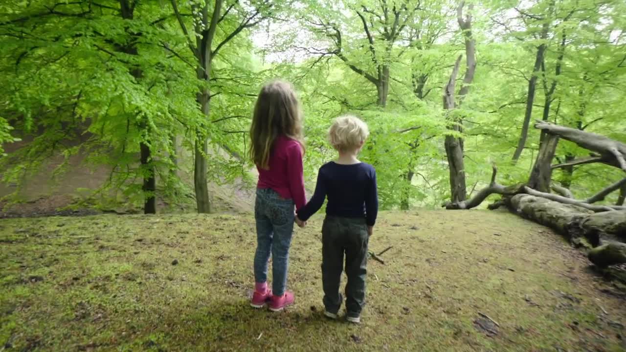 Free Stock Video Siblings In A Forest Live Wallpaper - Free Download