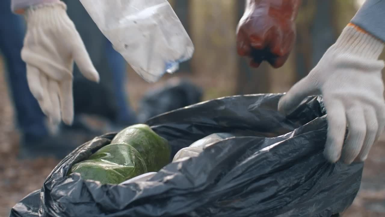 Free Stock Video Volunteers Recycling Plastic And Glass Bottles Live Wallpaper - Free Download