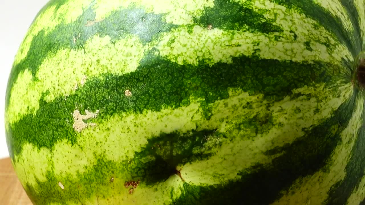 Stock Footage Watermelon Spinning Live Wallpaper - Free Download