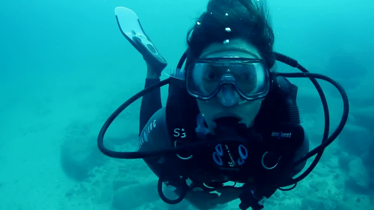 Stock Video Person Diving In A Blue Sea Live Wallpaper - Free Download